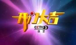 cctv3开门大吉直播在线观看,欢乐互动，精彩纷呈